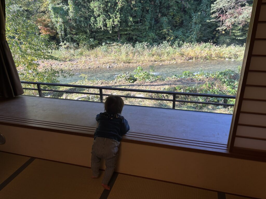 客室から眺める渓流（嵐渓荘）